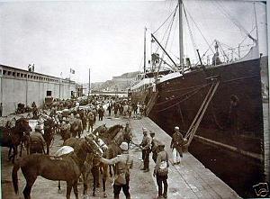 Oran- SDV- 0557